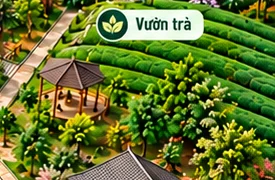 Vườn trà và chòi nghỉ